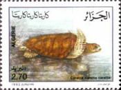 Loggerhead Turtle (Caretta caretta)