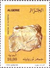 Turritella Marl