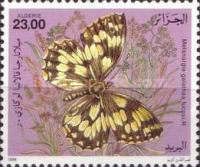 Marbled White (Melanargia galathea L.)