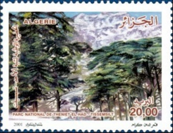 National Park Theniet El Had