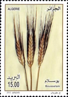 Agriculture and Food - Bousselam