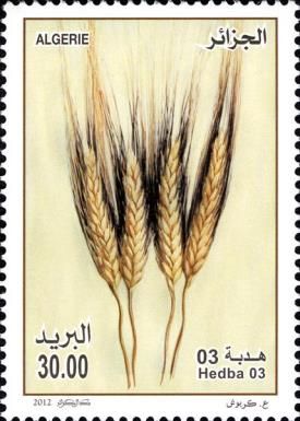 Agriculture and Food - Hedba 03