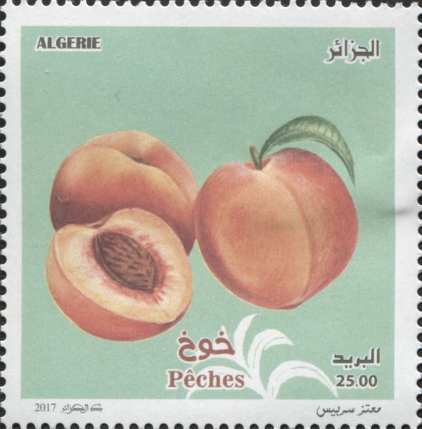Fruits & Vegetables of Algeria