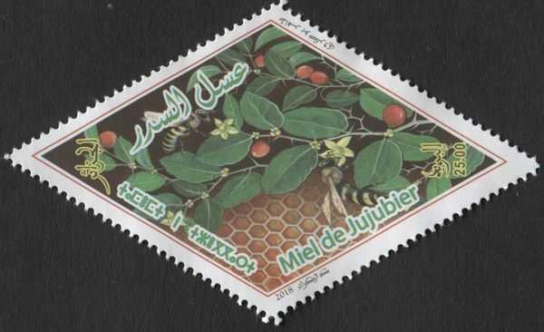 Jujube Honey