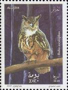Pharaoh Eagle-Owl (Bubo ascalaphus)