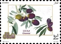 Shimlal Olives