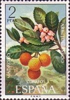 Strawberry Tree (Arbutus unedo)