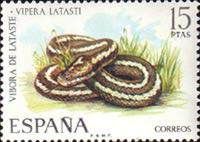 Lataste's Viper (Vipera latasti)