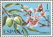 Almonds, Nuts and Blossoms