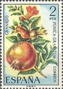 Pomegranates