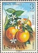 Oranges