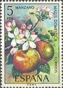 Apples