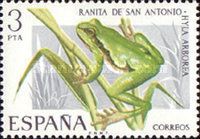 European Tree Frog (Hyla arborea)