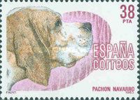 Navarro Pointer (Canis lupus familiaris)