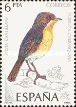 Western Subalpine Warbler (Sylvia cantillans)