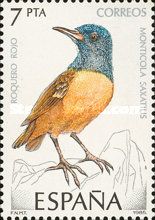 Common Rock Thrush (Monticola saxatilis)