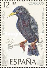 Spotless Starling (Sturnus unicolor)