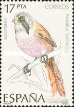 Bearded Reedling (Panurus biarmicus)