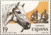Horses (Equus ferus caballus)