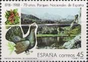 National Park Covadonga, Western Capercaillie (Tetrao urogal