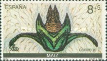 Maize