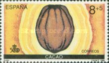 Cocoa Bean