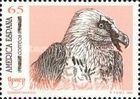 Bearded Vulture (Gypaetus barbatus) 