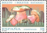 Satan's Mushroom (Boletus Satanas)