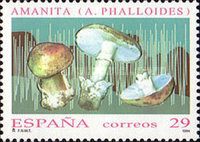 Death Cap Mushroom (Amanita Phalloides)