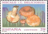 Milk Cap Mushroom (Lactarius Deliciosus)