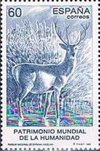 Deer, National Park of Doñana, Huelva