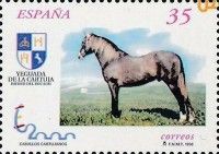 Carthusian Horse (Equus ferus caballus)