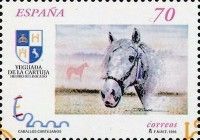 Carthusian Horse (Equus ferus caballus)