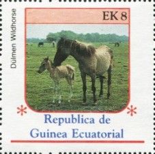 Carthusian Horse (Equus ferus caballus)