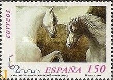 Carthusian Horse (Equus ferus caballus)