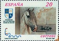 Carthusian Horse (Equus ferus caballus)