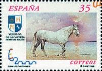Carthusian Horse (Equus ferus caballus)