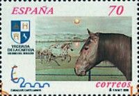 Carthusian Horse (Equus ferus caballus)