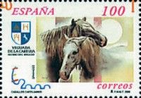 Carthusian Horse (Equus ferus caballus)