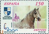 Carthusian Horse (Equus ferus caballus)