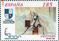 Carthusian Horse (Equus ferus caballus)