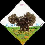 Olive Tree