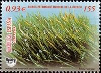 Grasses - Ses Salines Nature Reserve. 