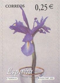 Iris flower