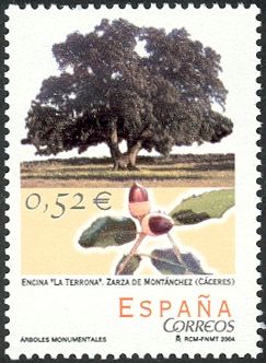 La Terrona Oak, Zaraza de Montánchez