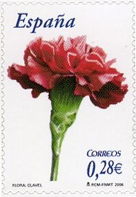Dianthus