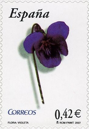 Violet