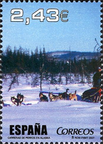 Dog Sled Racing in Alaska