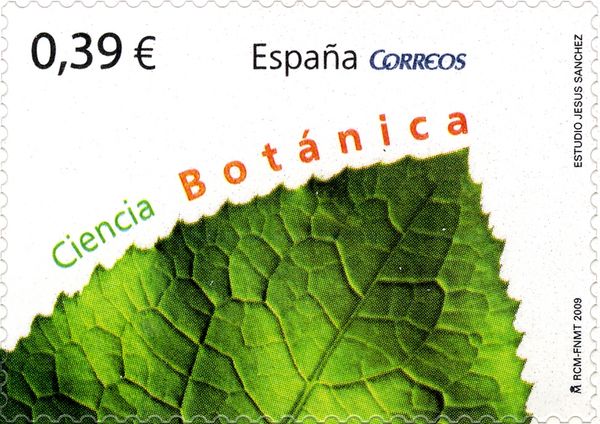 Botany - Plant Leaf