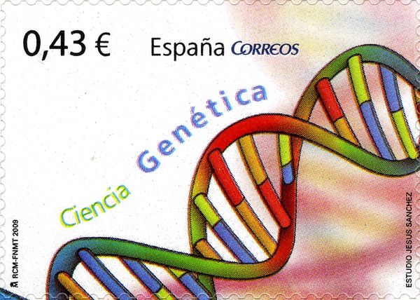 Genetics - DNA Double Helix